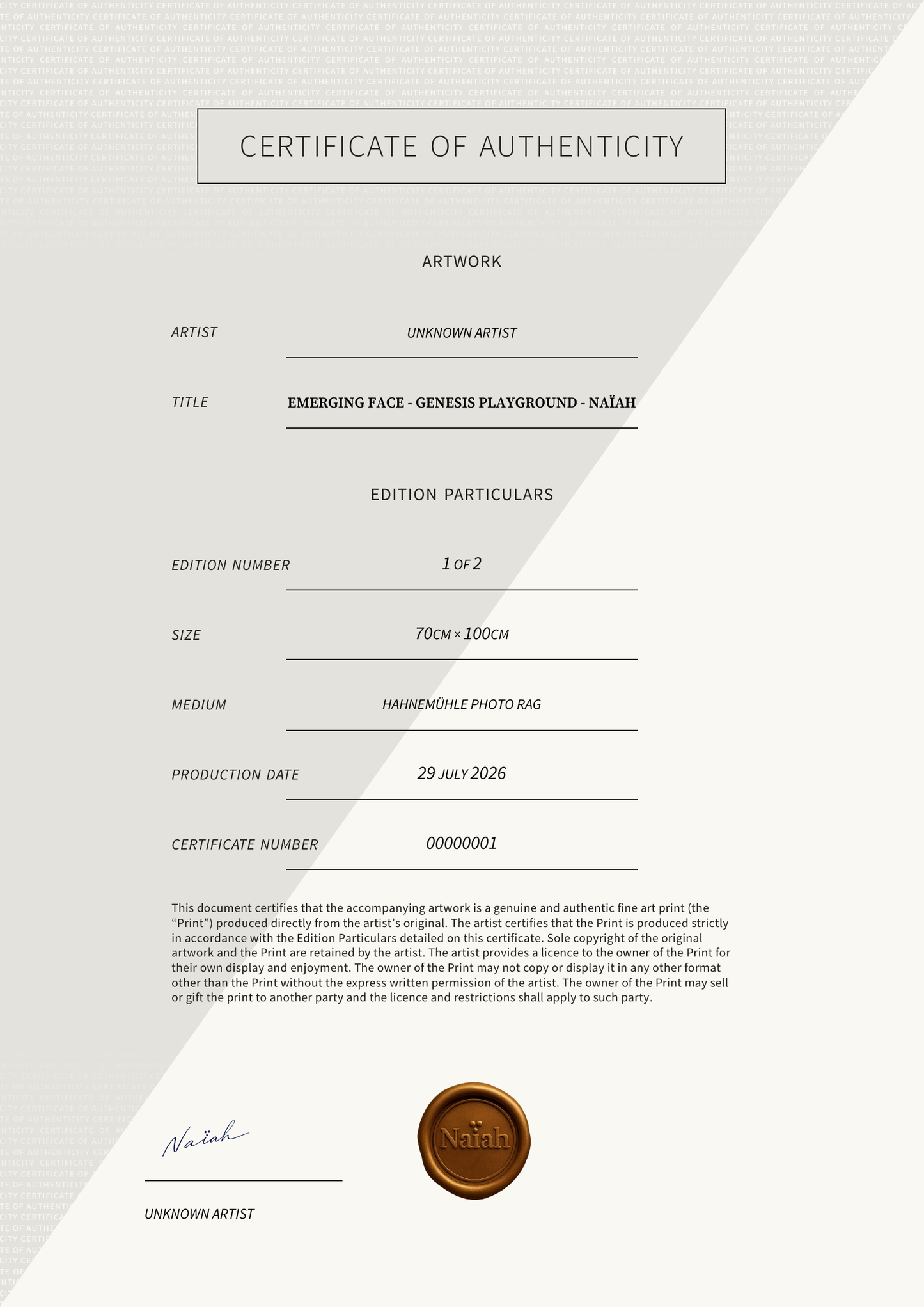 Emerging Face - Genesis Playground - Naïah — Certificate of Authenticity