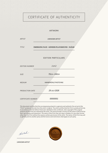 Emerging Face - Genesis Playground - Naïah — Certificate of Authenticity