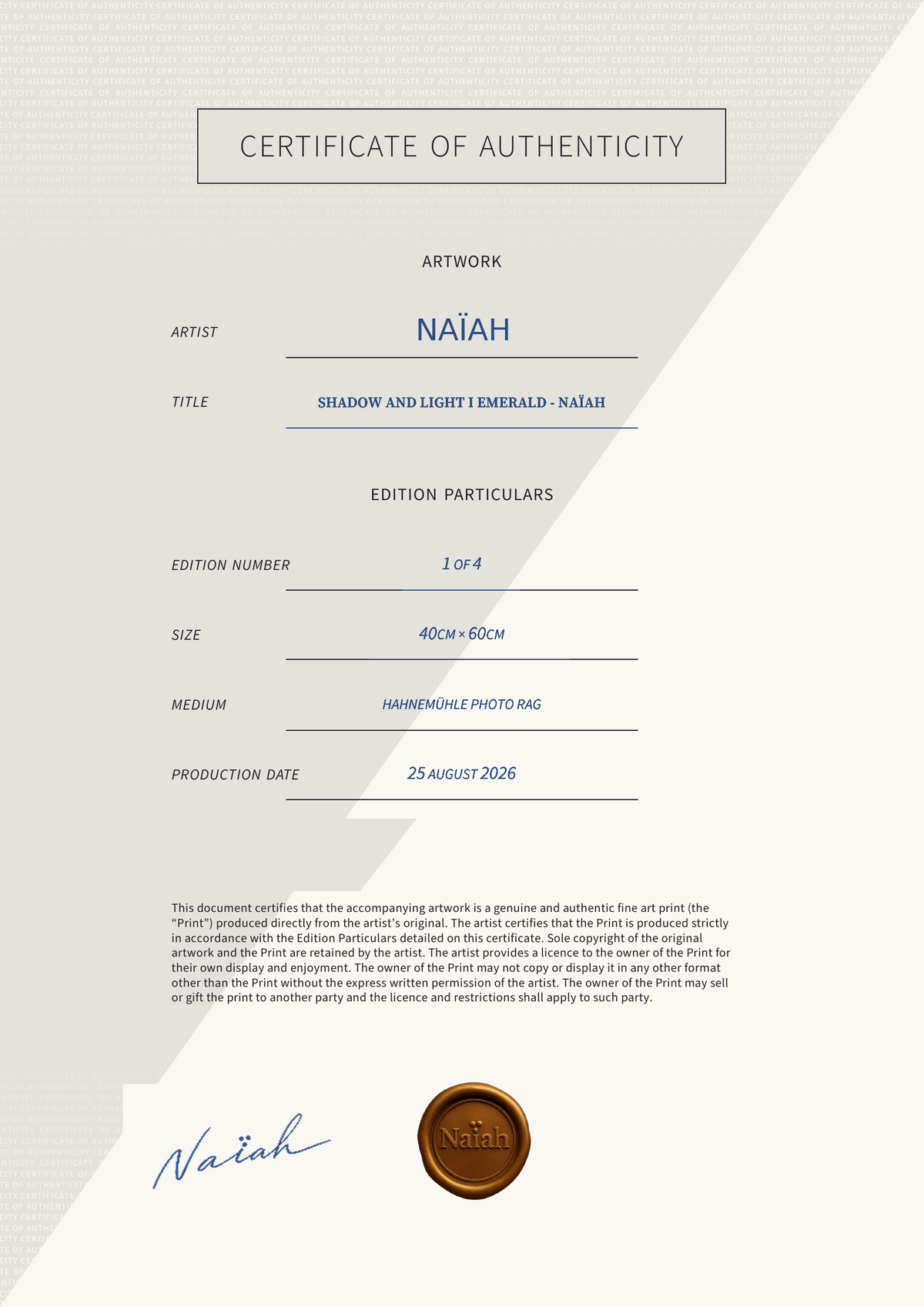 Certificate of Authenticity for Shadow and Light by Naïah